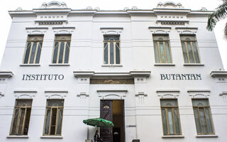 Instituto Butantan