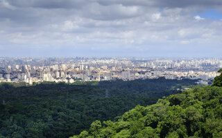 Parque Estadual da Cantareira