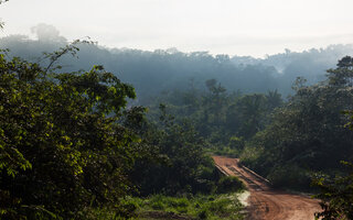 Rota Transamazônica