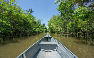 Parque Nacional do Jaú