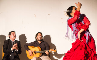 Show de Flamenco