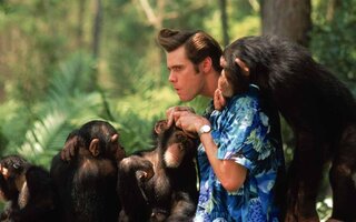 Ace Ventura 2: Um Maluco na Africa - Amazon Prime Video