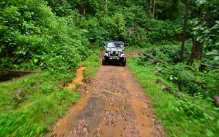 Fazer ecoturismo pela região