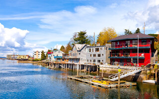 Conhecer Ballard Locks e Golden Gardens Beach