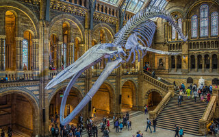 Museu de História Natural - Londres, Inglaterra