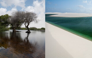 E aí, vai viajar para Santo Amaro quando?