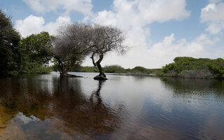 Banhos de rio