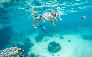 Snorkling Eden Rock