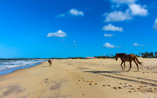 SÃO MIGUEL DO GOSTOSO, RIO GRANDE DO NORTE