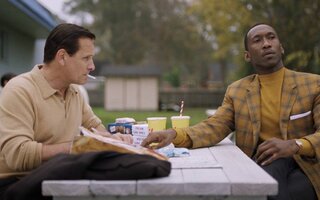 Green Book O Guia - Amazon Prime Video