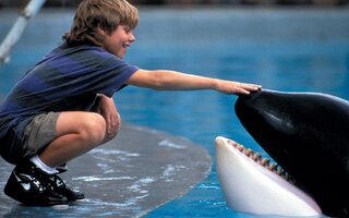 Free Willy - Globo Play