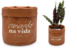 CACHEPOT PARA VASO