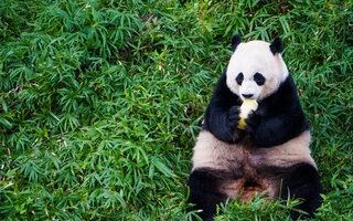 Smithsonian’s National Zoo