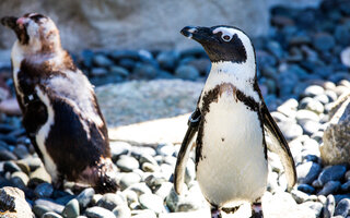 San Diego Zoo