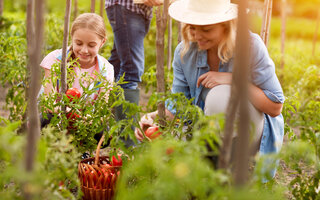 Momento jardinagem