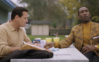 Green Book: O Guia - Amazon Prime Video