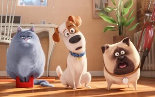 Pets: A Vida Secreta dos Bichos 2 - Telecine Play