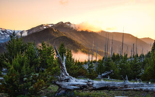 Parque Nacional Olympic