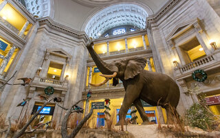 Museu Nacional de História Natural