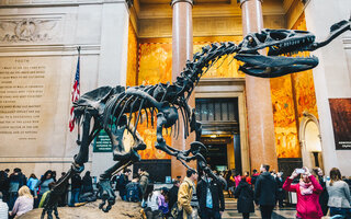 Museu Americano de História Natural