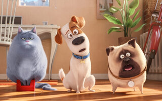 Pets: A Vida Secreta dos Bichos 2 - Telecine Play