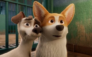 Corgi: Top Dog – Telecine Play