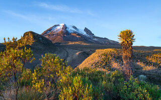 Parque Nacional Natural Los Nevados