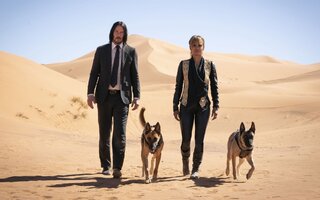 John Wick Chapter 3:  Parabellum - Amazon Prime Video