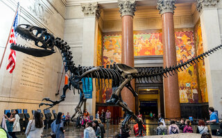 Museu Americano de História Natural