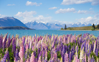 Lago Tekapo