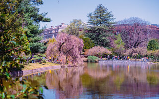 JARDIM BOTÂNICO DO BROOKLYN, ESTADOS UNIDOS