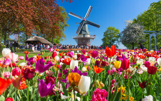 JARDIM KEUKENHOF, HOLANDA