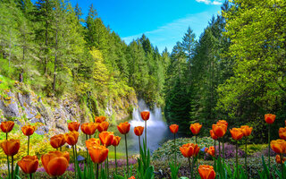 JARDINS DE BUTCHART, CANADÁ