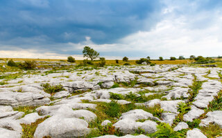 PARQUE NACIONAL DE BURREN