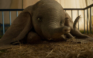 Dumbo - Disney+