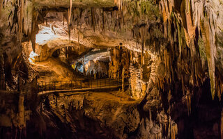 Caverna de Postojna