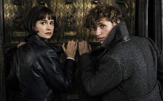 Animais Fantásticos: Os Crimes de Grindelwald - Telecine Play