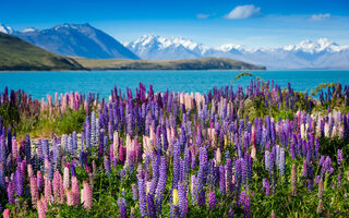 LAGO TEKAPO, NOVA ZEL NDIA