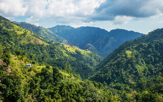 BLUE MOUNTAINS, JAMAICA