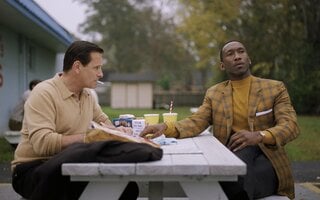 Green Book: O Guia - Amazon Prime Video