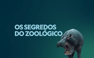 Os Segredos do Zoológico - Disney+