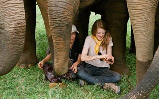 Elefantes: Em Nome da Liberdade - Disney +