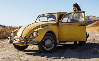 Bumblebee