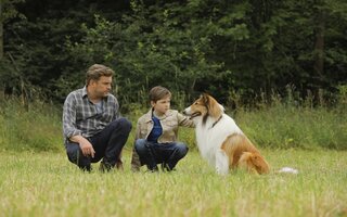 Lassie: De Volta À Casa - Telecine Play