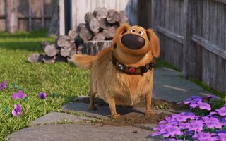 A Vida de Dug - Disney +