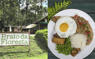 Restaurante Prato da Floresta