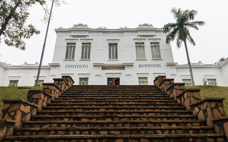 Instituto Butantan