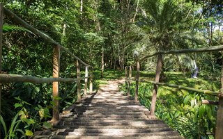 Parque Estadual da Cantareira, em São Paulo