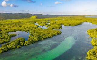 Julho: Anavilhanas, no Amazonas