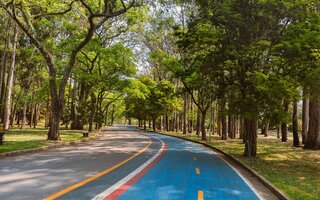 Aquário | Um dia no Parque Ibirapuera